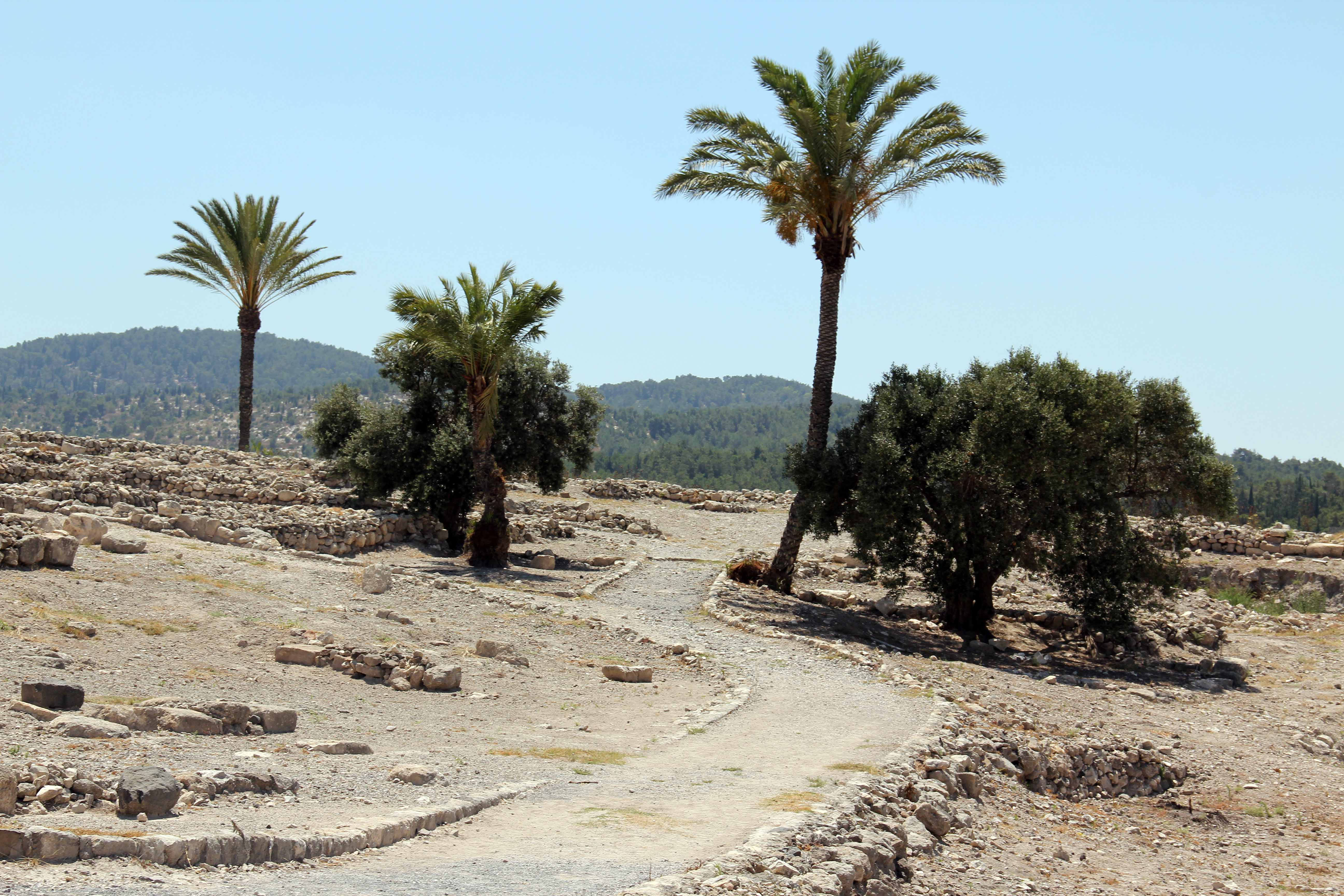 Megiddo image 26
